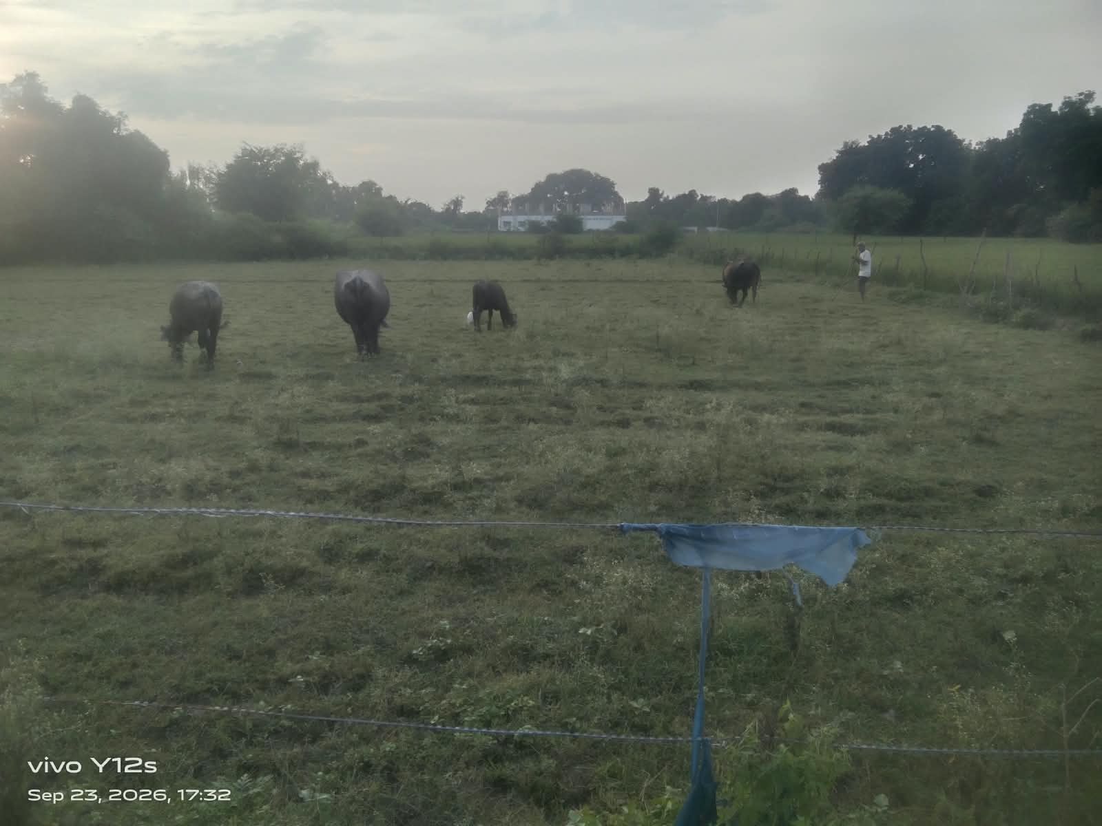 Agricultural land for sale in Bakshi ka talab,kumhrava, Lucknow, Building / outside