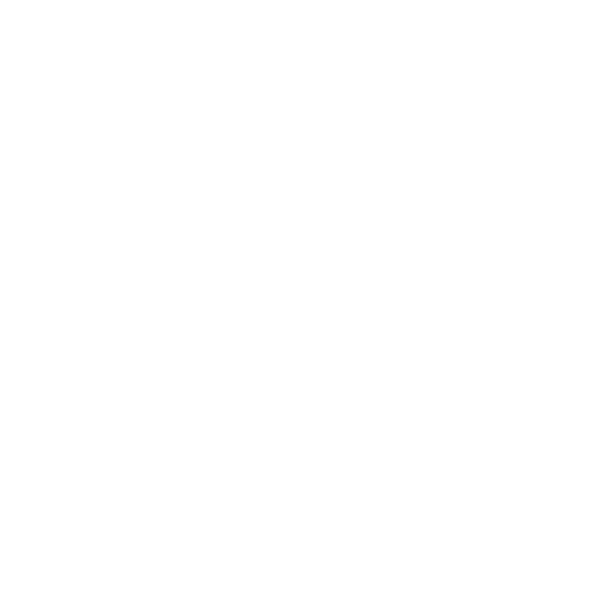 ProTickets Logo