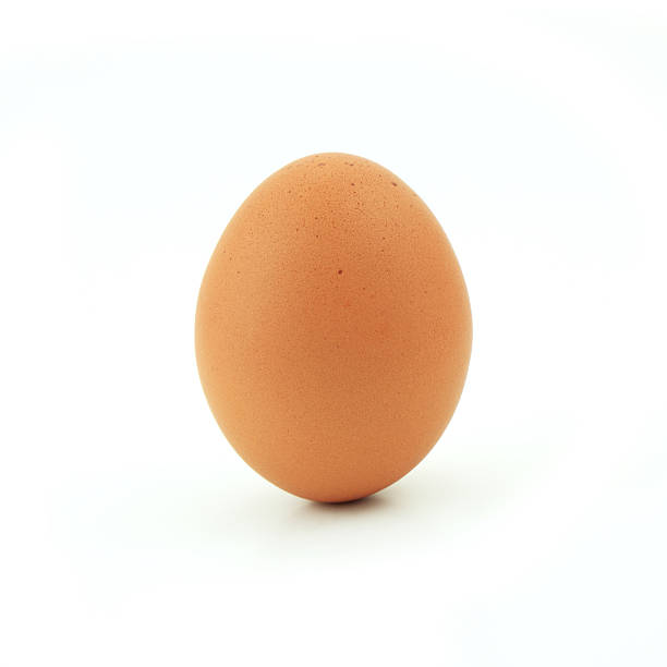 Egg (for egg wash)