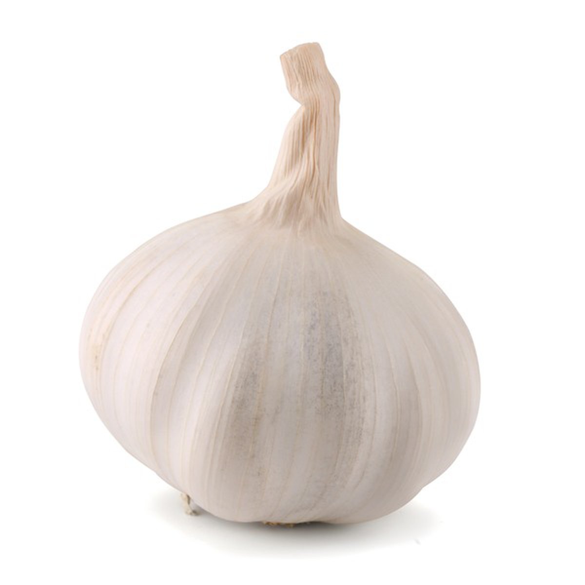 garlic clove