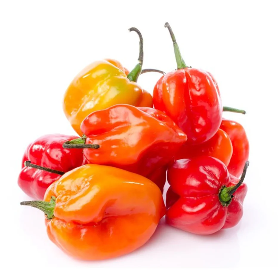 Spiceology Hibiscus Habanero Seasoning