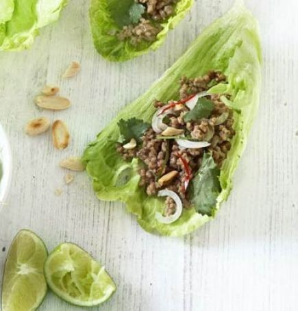 lemony-salmon-and-lettuce-wraps