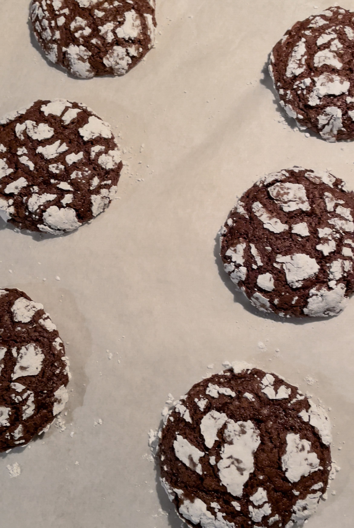 chocolate-crackle-cookies