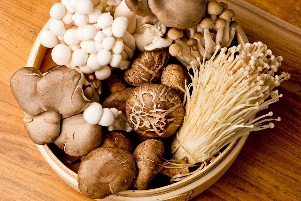mushroom-stock