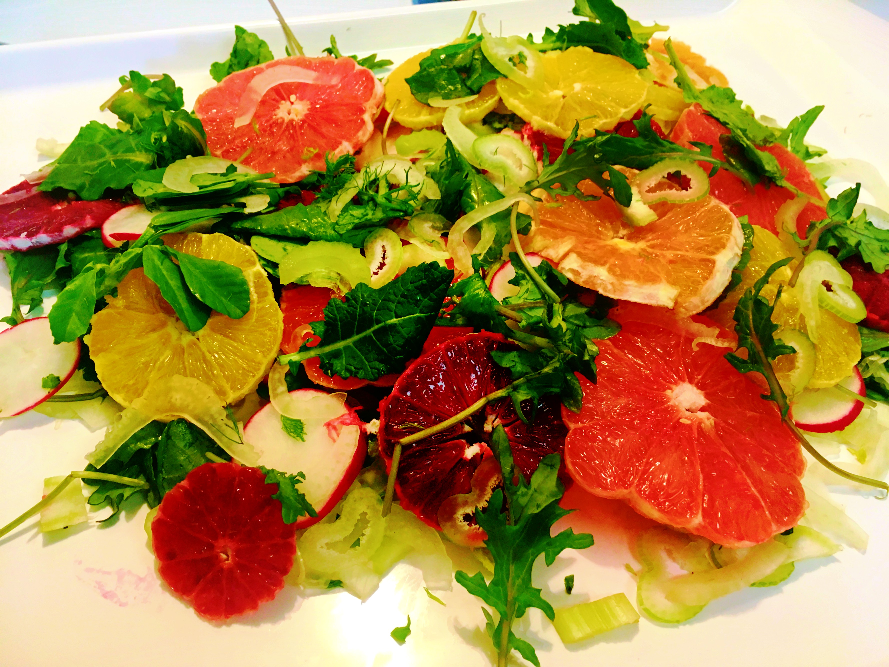 helen's-fennel-citrus-salad