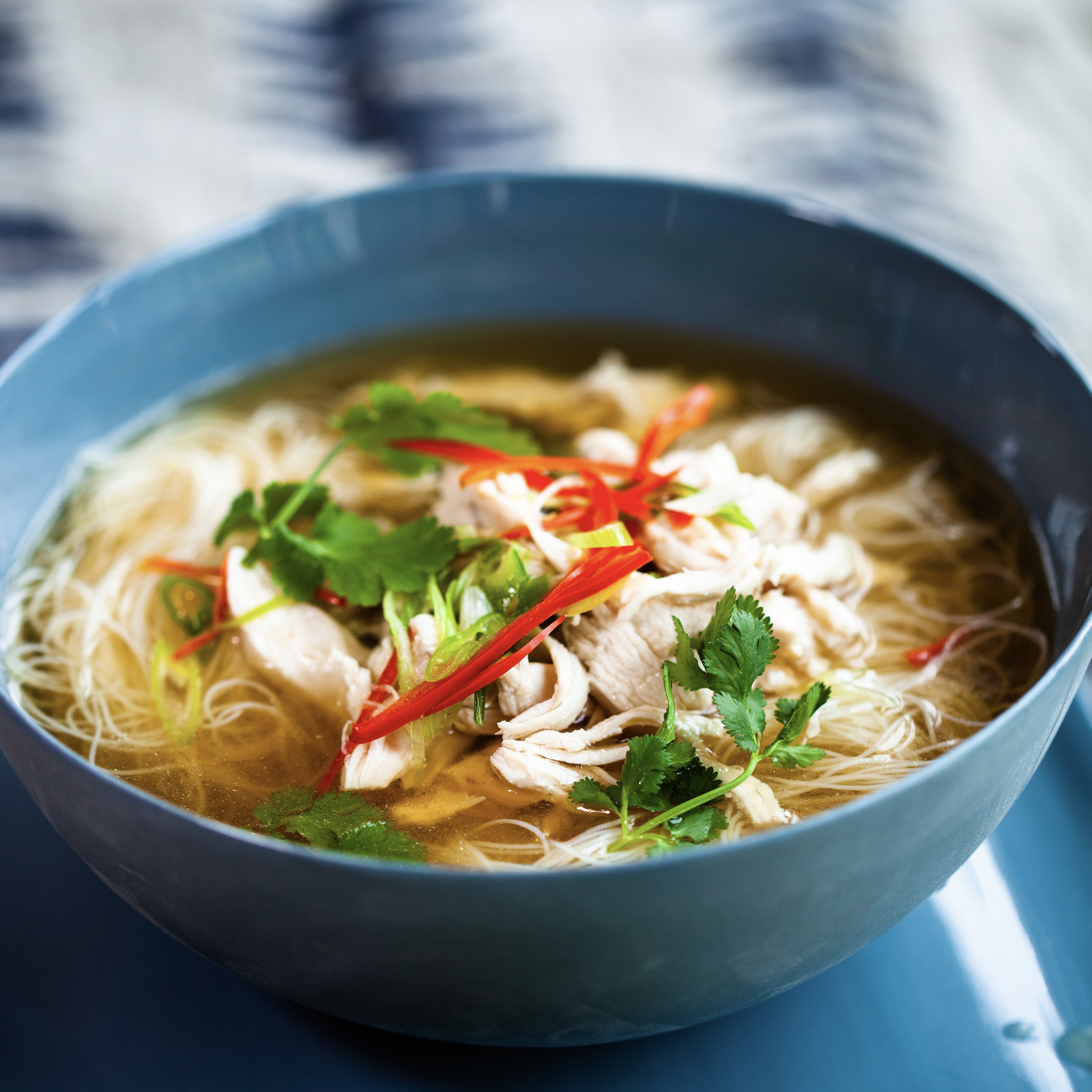 asian-inspired-chicken-noodle-soup
