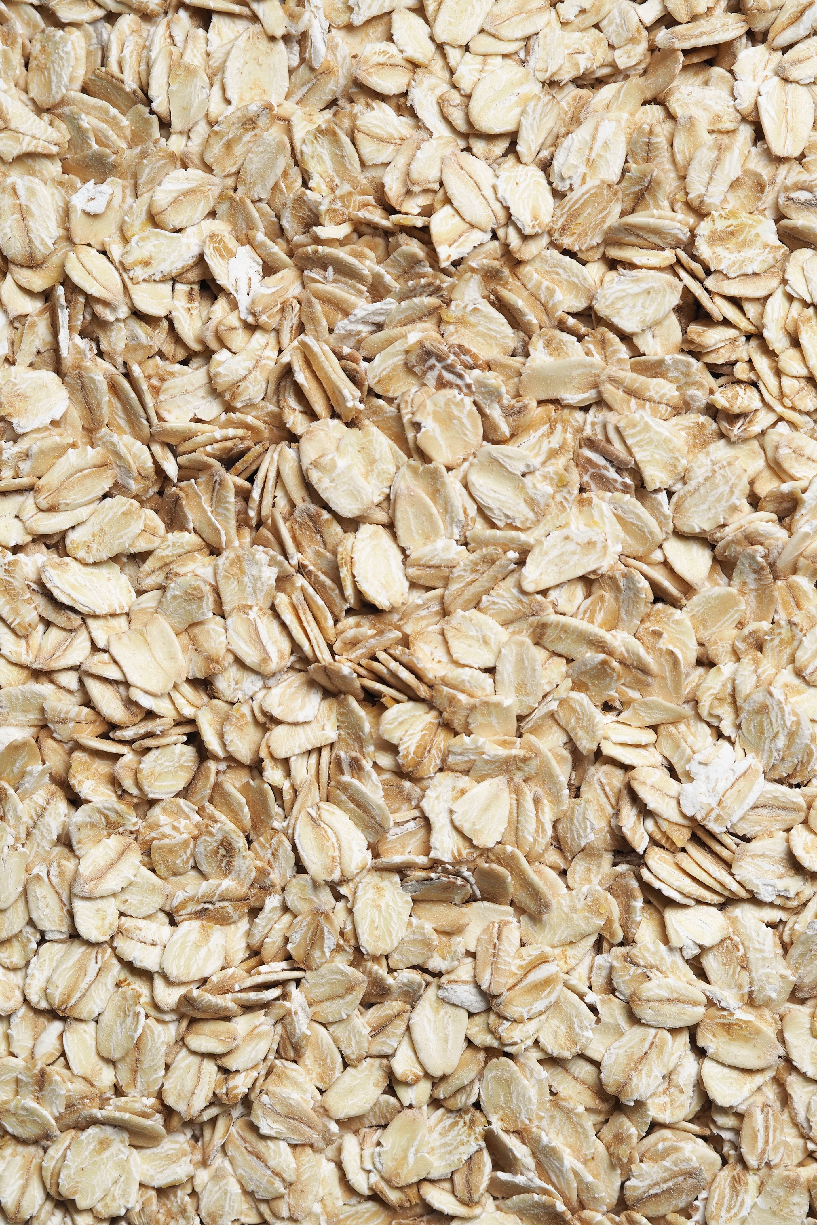 pumpkin-pie-oatmeal