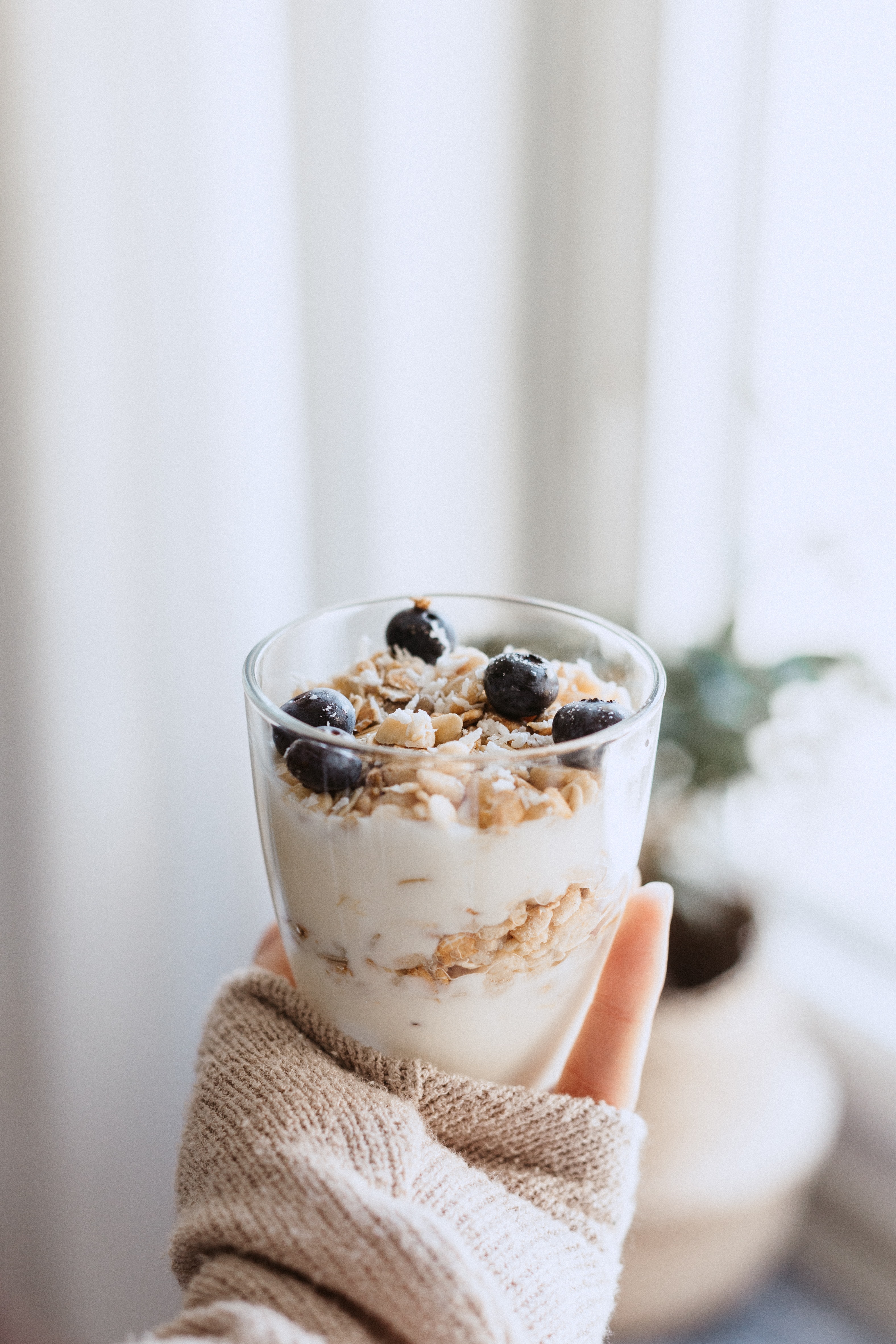 coconut-milk-yogurt