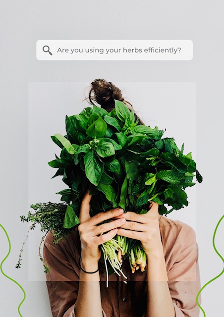 mixed-herb-pesto