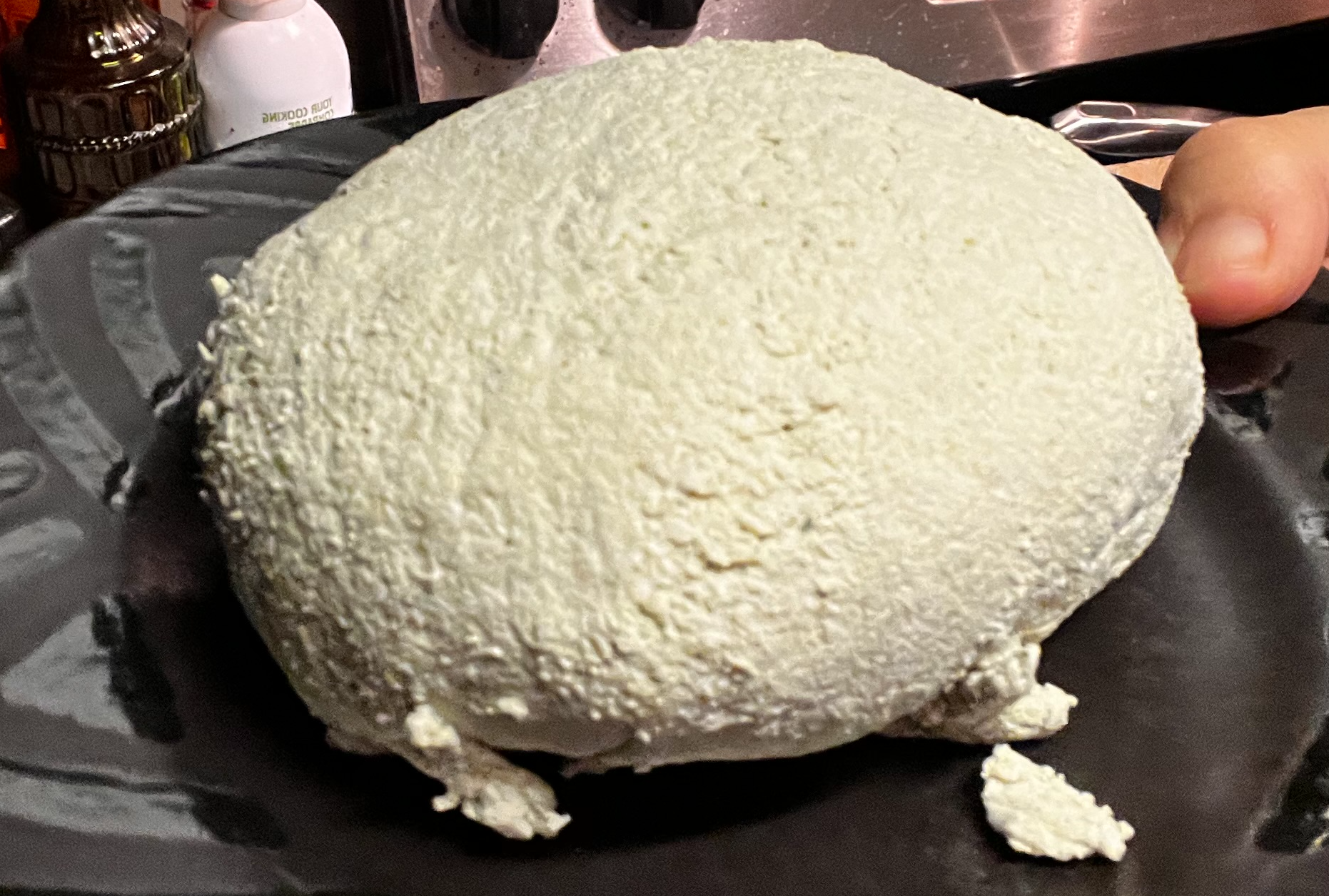 vegan-nut-free-soy-free-ricotta