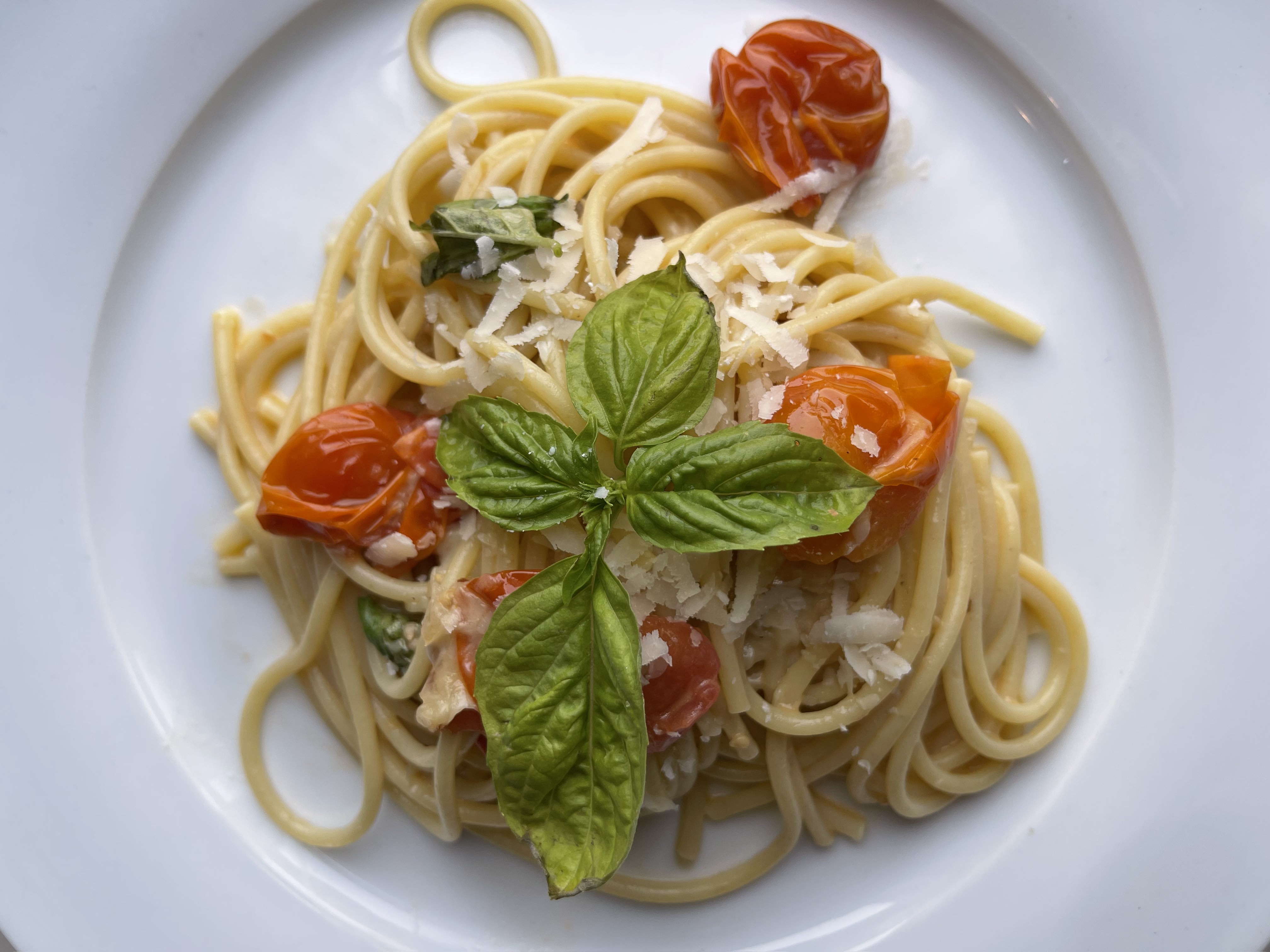 creamy-tomato-and-bocconcini-pasta