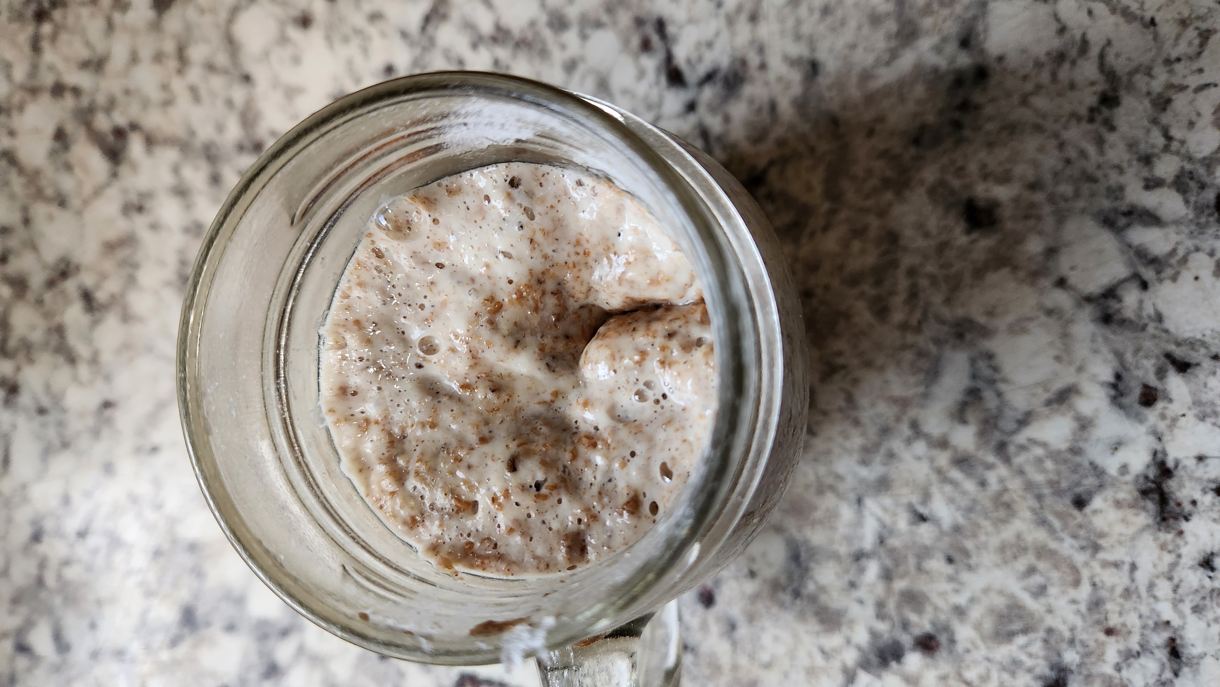 sourdough-starter