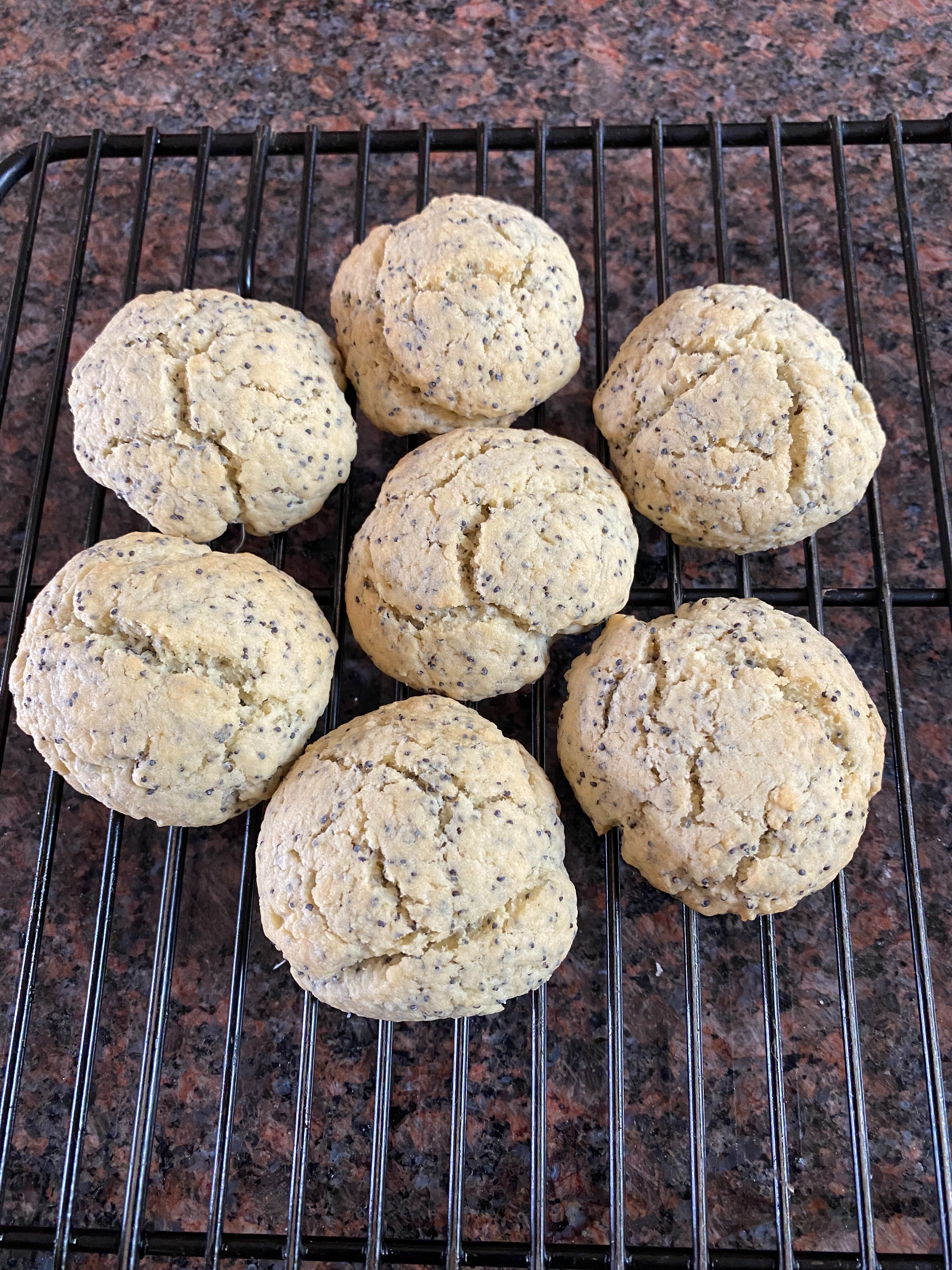 emilio's-favorite-poppyseed-cookies