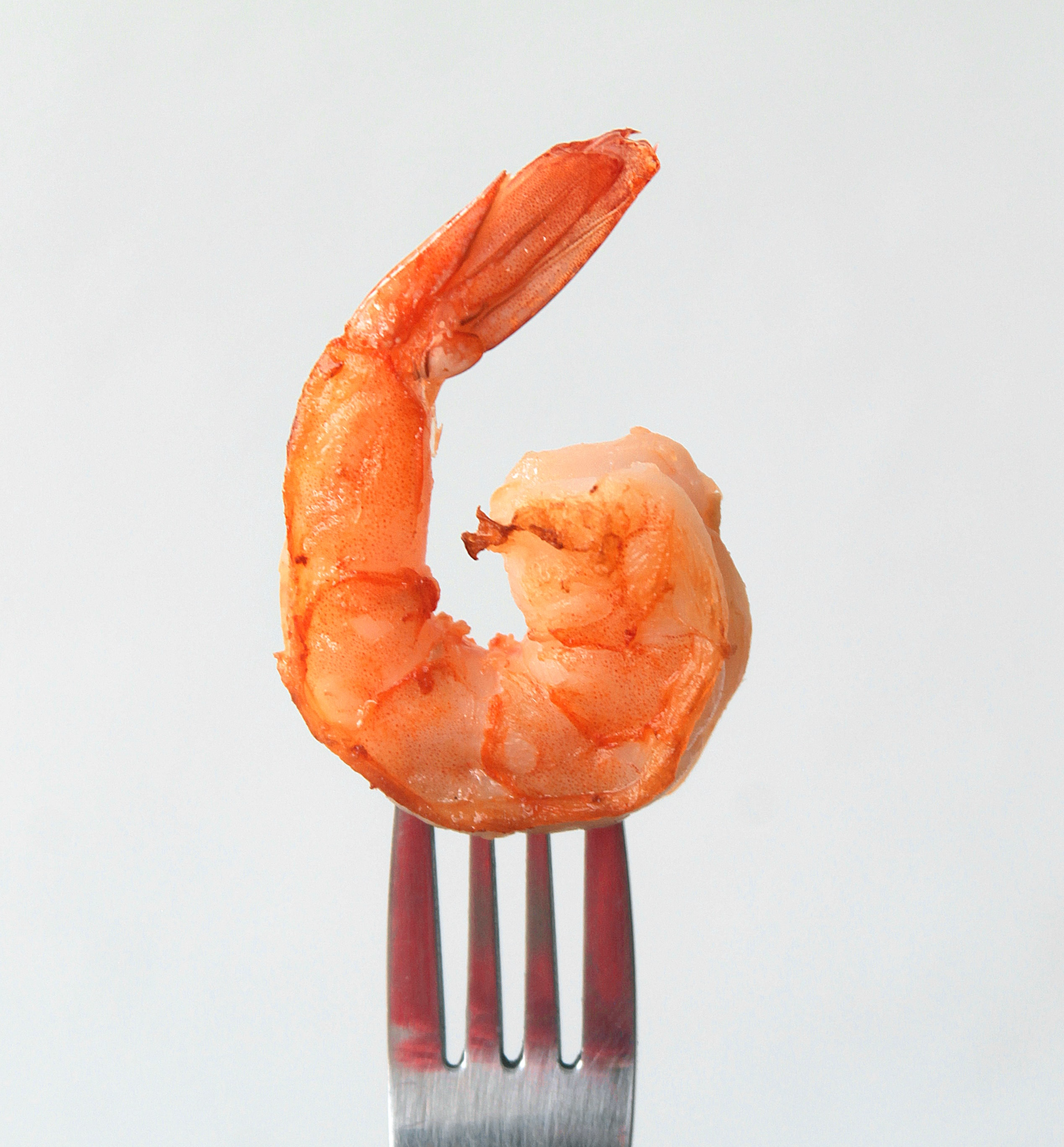 shrimp-dip