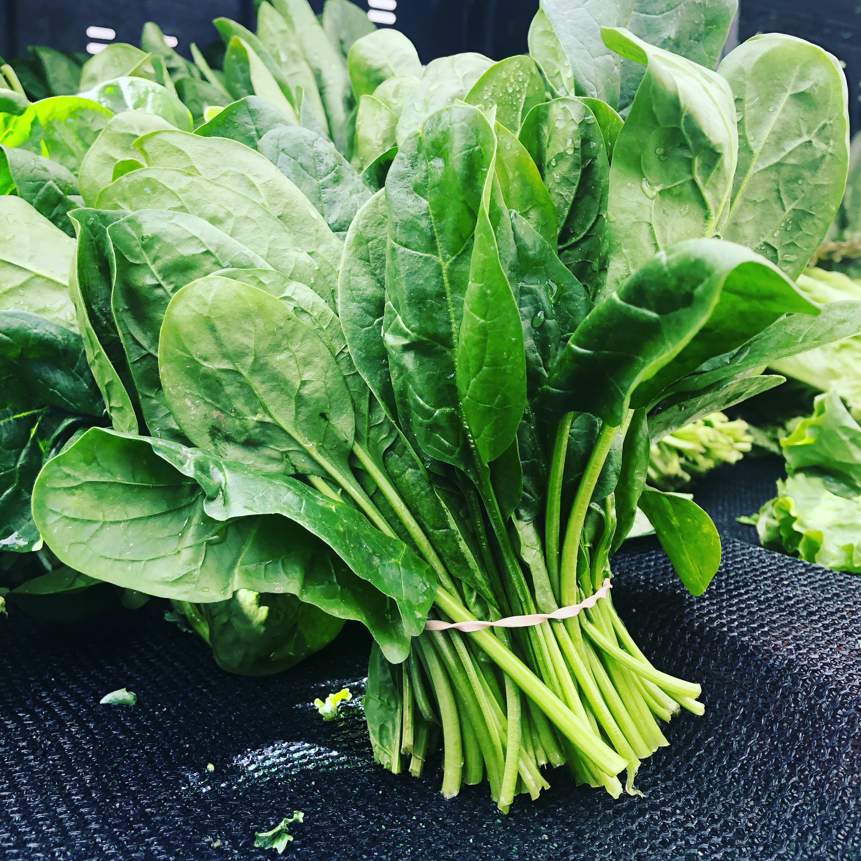 spinach-salad