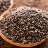 CHIA x1KG