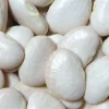 POROTOS PALLARES GRANDES x1KG