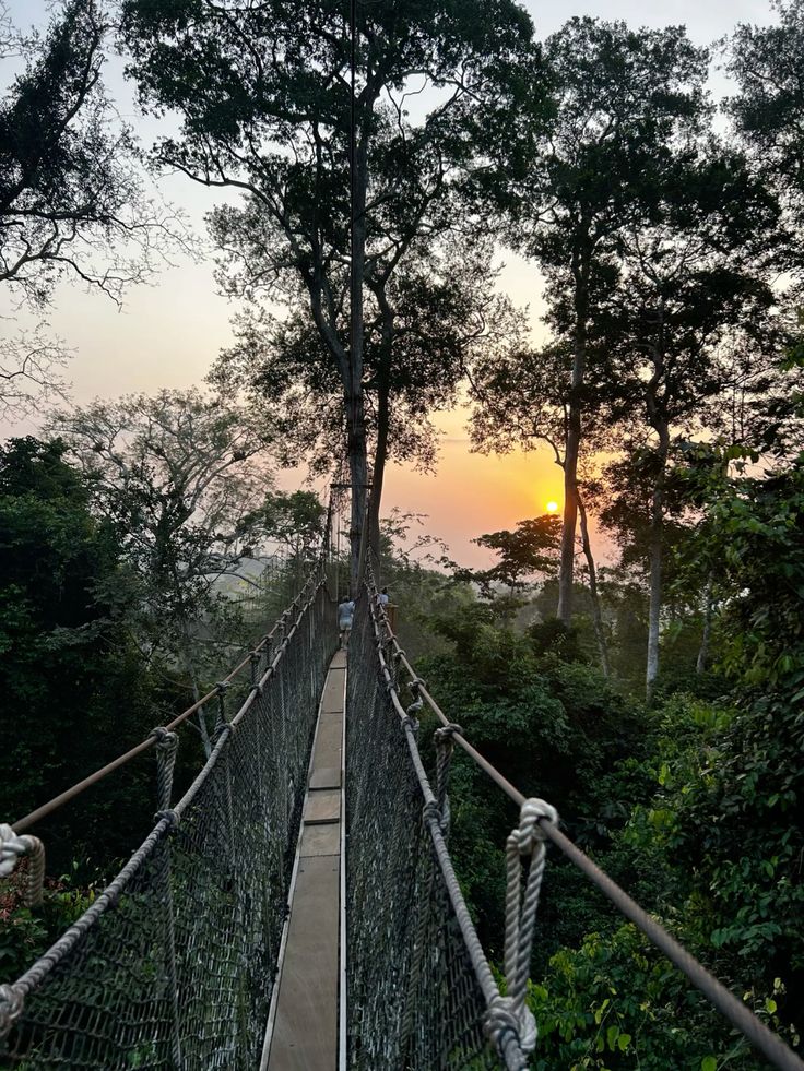 Kakum Canopy Walkway & Rainforest Adventure