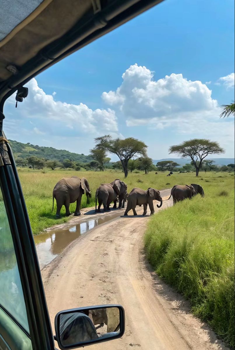 7-Day Zanzibar & Nairobi Safari + Beach Holiday