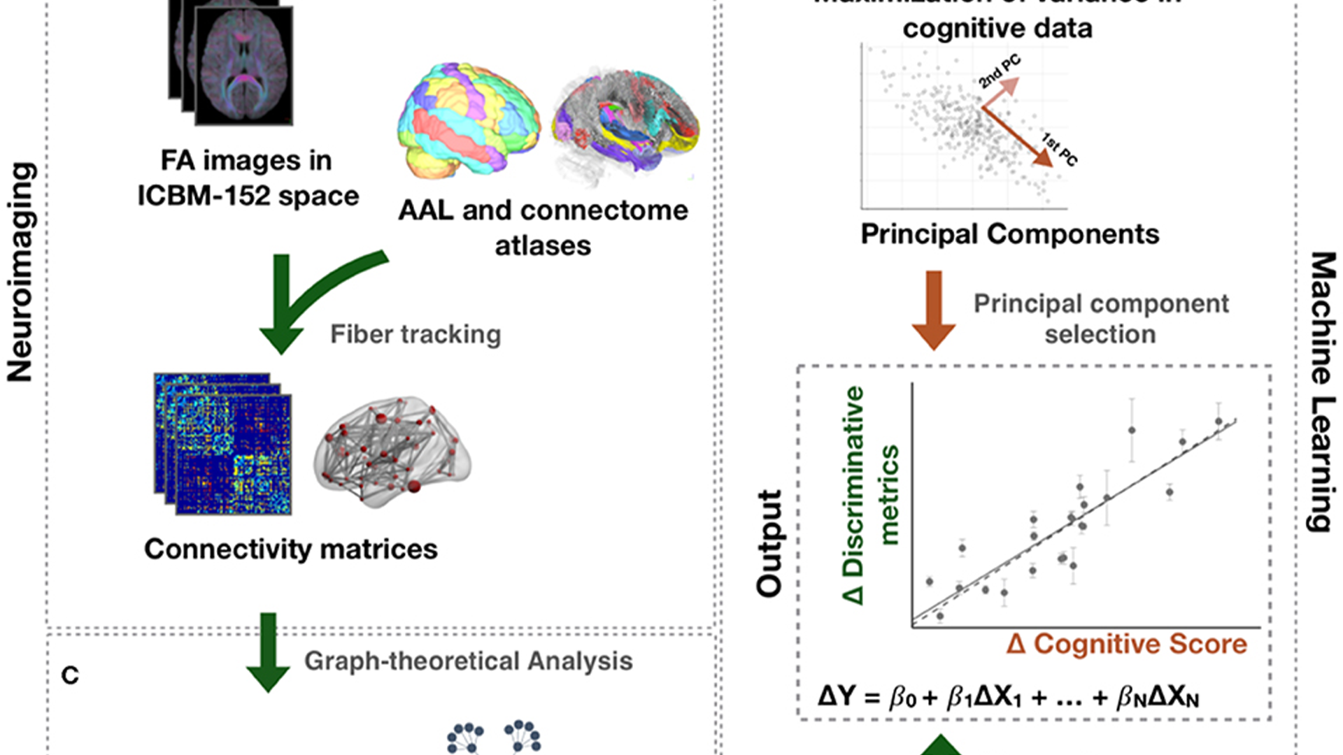 fMRI Spectral Graph Signal Processing - Brain Connectivity Analysis preview