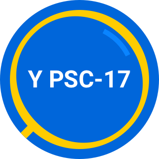 Youth Pediatric Symptom Checklist-17