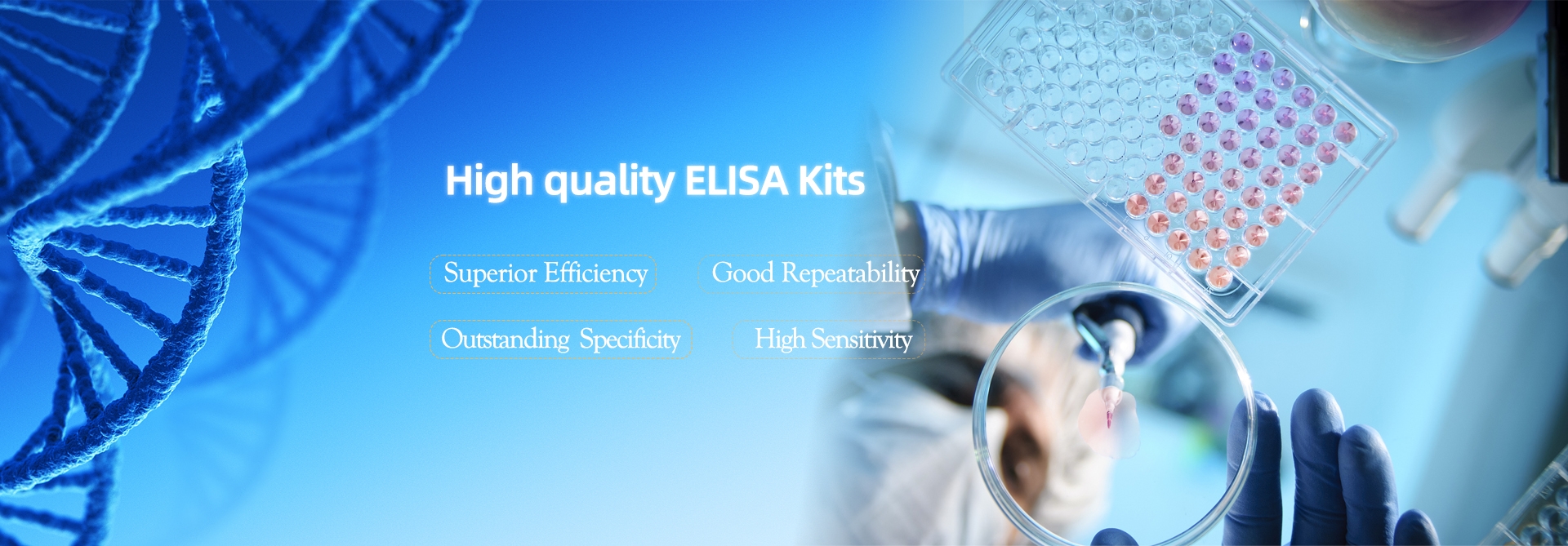 OEM ELISA KITS Available for Research