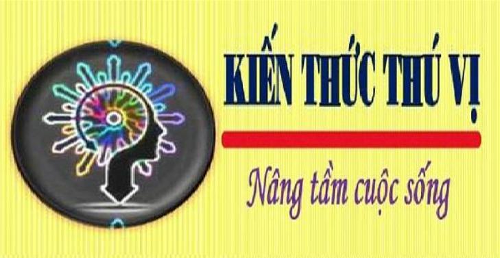 Kiến Thức Thú Vị