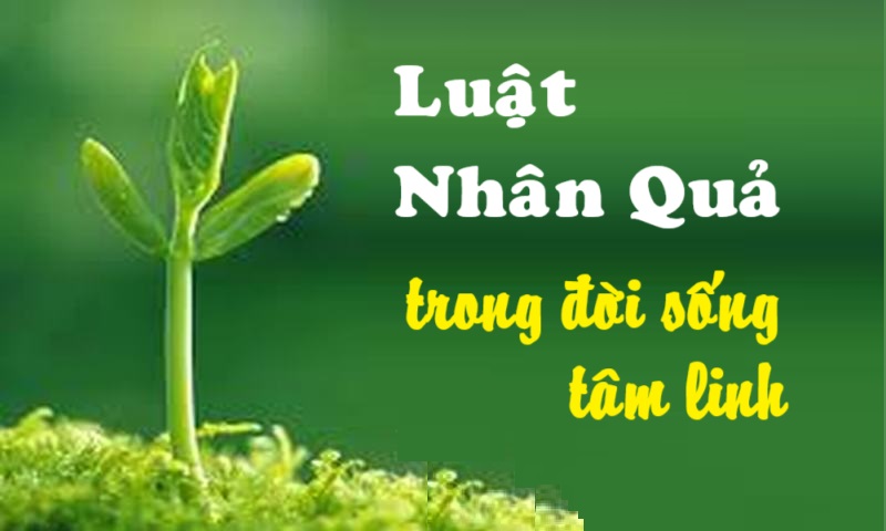 Luật nhân quả trong đời sống tâm linh