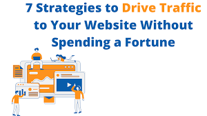7 Strategies to Drive Traffic to Your Website Without Spending a
                            Fortune
