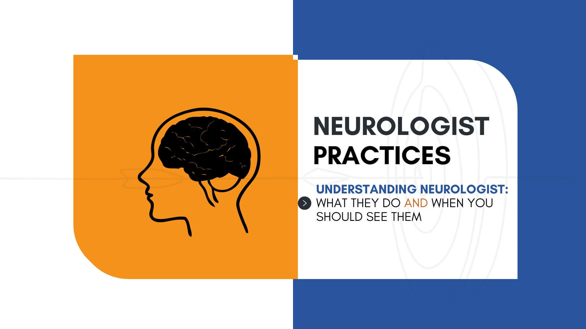 Understanding Neurologists: What They Do And When You Should See Them