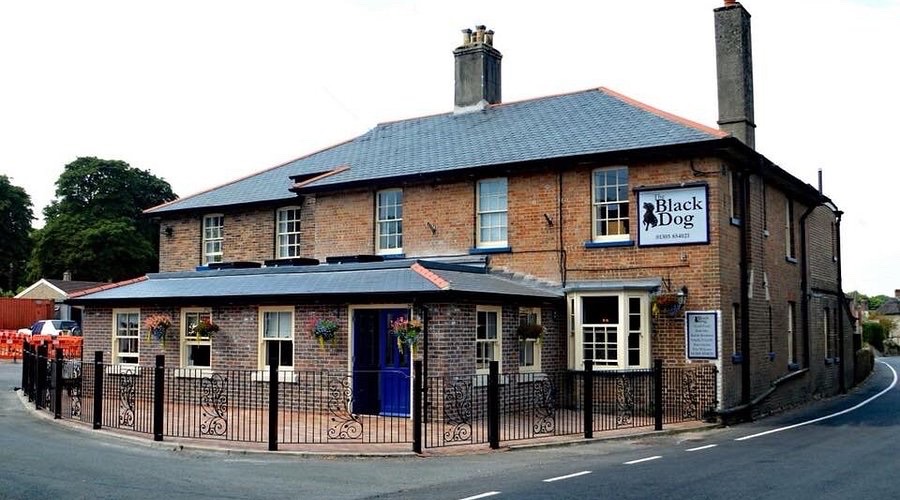 The Black Dog