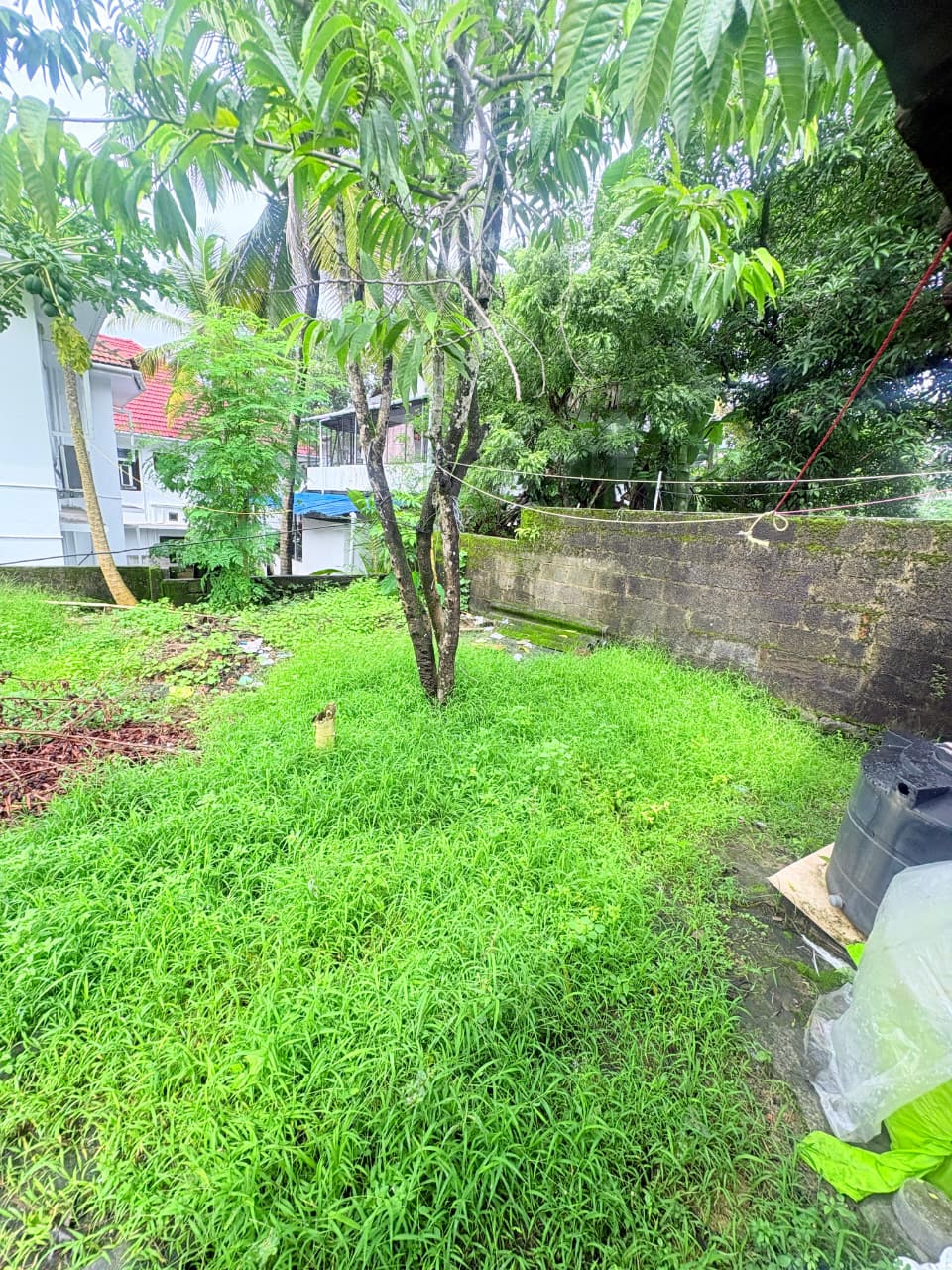 9 Cent Plot with 2 Houses for Sale in Padamugal, Kochi - Preview Thumbnail 3