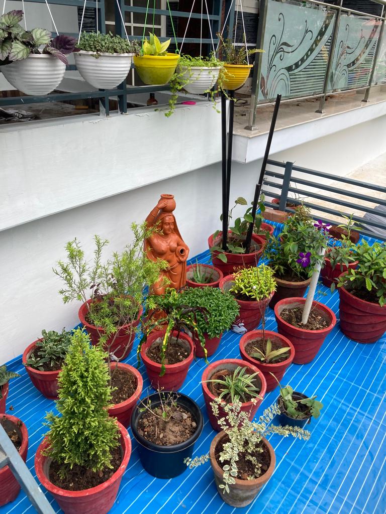 3 BHK House for Sale in Thrippunithura, Ernakulam - Preview Thumbnail 8