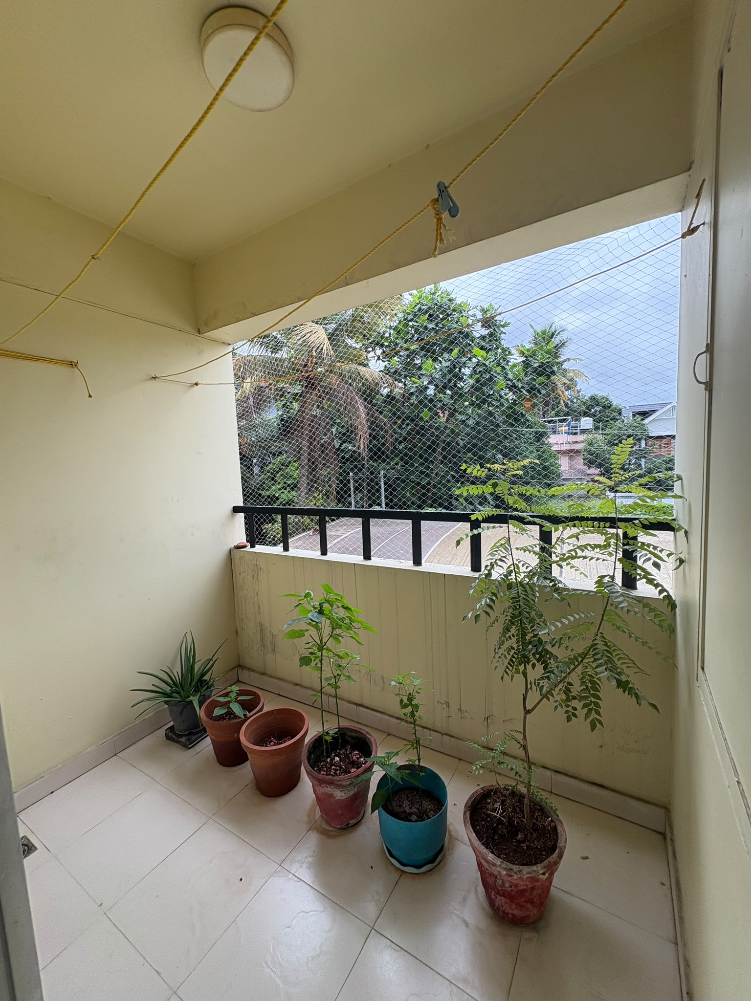 Mather Plum Flower – Premium 3 BHK Flat for Rent, Chalikavattom - Preview Thumbnail 2