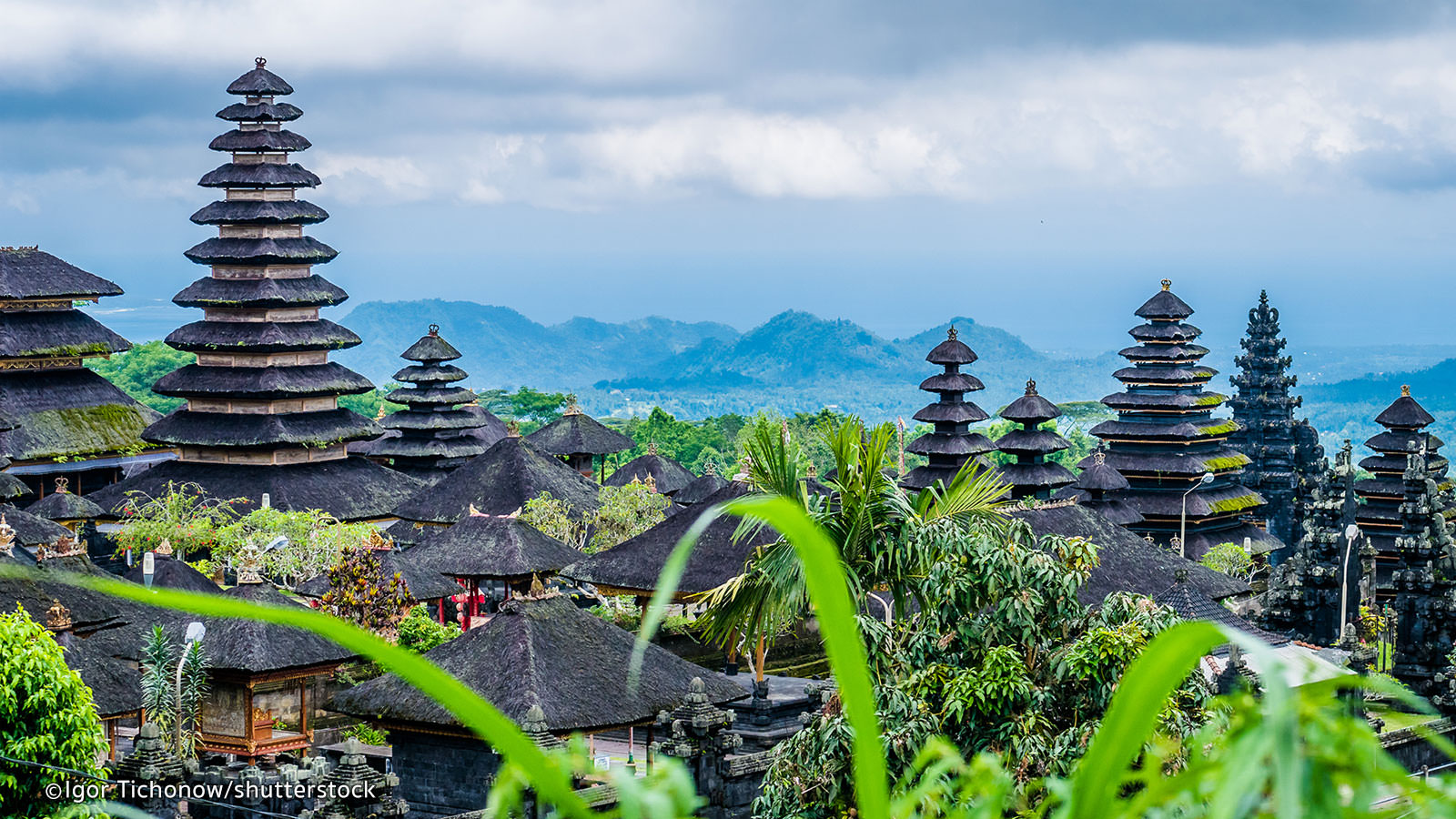 Lush, green rice terraces of Bali, symbolizing harmony with nature.