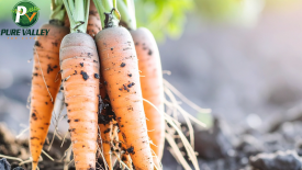 Irrigation system watering the fields