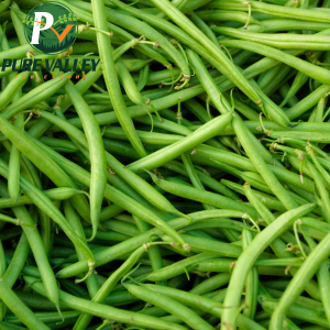  Green Beas
