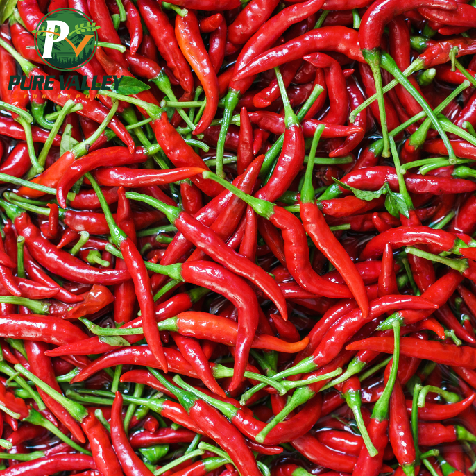 Chilli Peppers