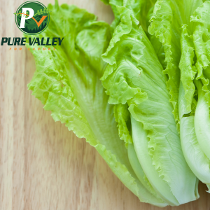 Lettuce