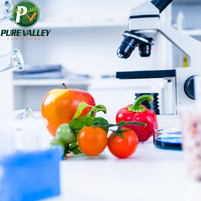 Interior of a modern food processing plant