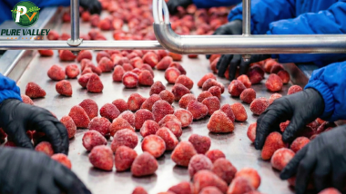 Processing & Freezing