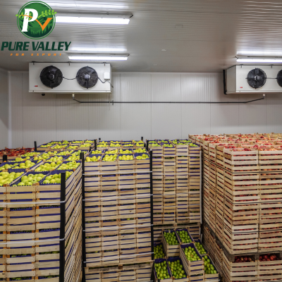 Cold storage warehouse with stacked pallets