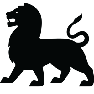 SyMed Corporation logo