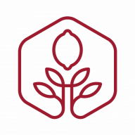 Red Lemon Creative logo
