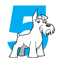 Five Dog Solutions logo