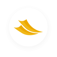 PSM Digital Agency USA logo