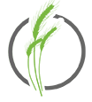 Meadows Interactive logo