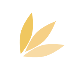 Spring Studio logo