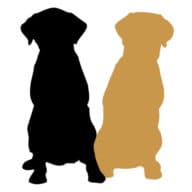 Two Labs LeadGen logo