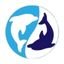 Sky Tide Digital logo